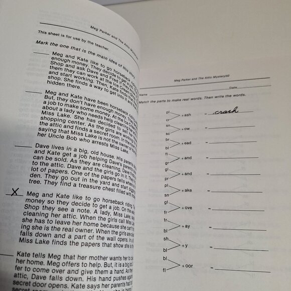 Teachers Edition Activity Worksheets Meg Parker Mystery Set 2 Eleanor Robins - Picture 8 of 12